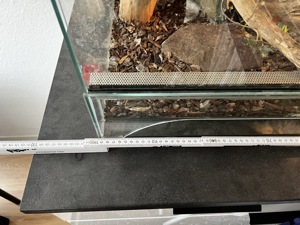 Kornnatter und Glasterrarium 100x50x50 cm inkl. Zubehör  Bild 9