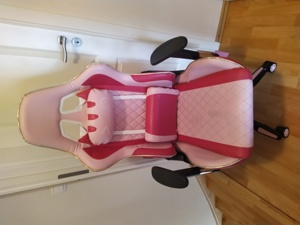 Rosa Cat PC Gaming  Chair