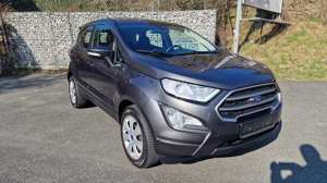 Ford EcoSport 1.0 EcoBoost COOLCONNECT Bild 3