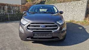Ford EcoSport 1.0 EcoBoost COOLCONNECT Bild 2
