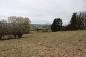 Gartengrundstück, Streuobstwiese, Weide, Freizeitgrundstück , Bienenhaltung . Bild 2