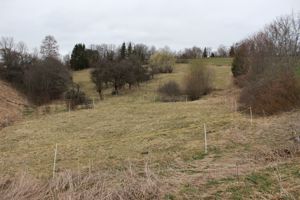 Gartengrundstück, Streuobstwiese, Weide, Freizeitgrundstück , Bienenhaltung . Bild 6