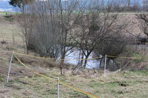 Gartengrundstück, Streuobstwiese, Weide, Freizeitgrundstück , Bienenhaltung . Bild 3