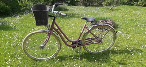 Bocas Damenfahrad  Bicyles Genua 50 cm Bild 2