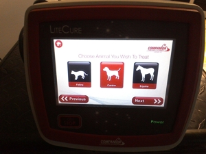 Litecure Companion Compact CTC-12 Therapy Laser Bild 3