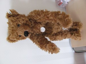 STEIFF Teddy 50 cm, Replikat Bild 2