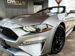 Ford Mustang Shelby GT 500 Sport Cabrio Premium Bild 3