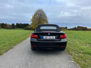 BMW 218 218i Cabrio Advantage 2. Hand, unfallfrei, SHG Bild 3