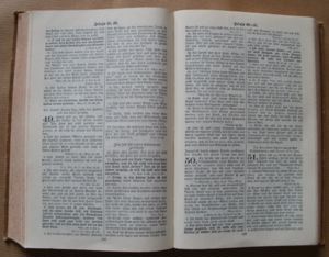 BD Die Bibel B.F.B.S. Die heilige Schrift nach der Übersetzung D.Martin Luther Buch Alt Bild 7