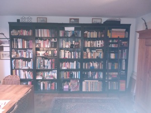 Bücherregal Bild 2