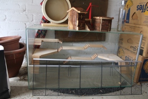 hamsterkäfig glas gebraucht Bild 2