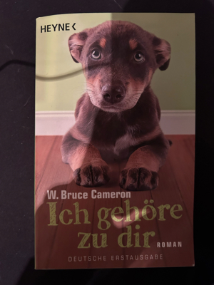 ich gehöre zu dir Roman Hunde Buch