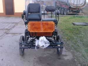 Neue Shetlandponykutsche mit 4 Scheibenbremsen! Bild 7