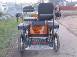 Neue Shetlandponykutsche mit 4 Scheibenbremsen! Bild 5