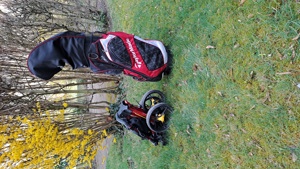 Golfbag mit Trolley Bild 1