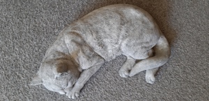 Steinfigur schlafende Katze, ca. 38 cm groß, neuwertig Bild 2