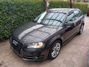 Audi A3 1.6 TDI Sportback DPF S tronic line Zahnriemen neu