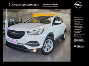 Opel Grandland X Automatik "Sondermodell Business" Bild 1