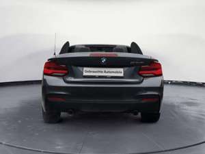 BMW 240 Cabrio Aut. Navi Prof. Leder ACC Kamera Bild 5