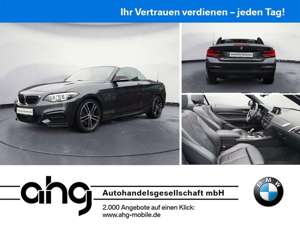 BMW 240 Cabrio Aut. Navi Prof. Leder ACC Kamera Bild 1