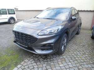 Ford Kuga 2.0 EcoBlue 4x4 Aut. ST-LINE X, AHZV, LED-Scheinw.