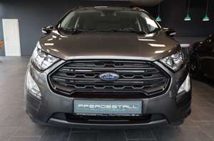 Ford EcoSport ST-Line LED AMBIENTE SHZ TEMPO KLIMAAUT Bild 2