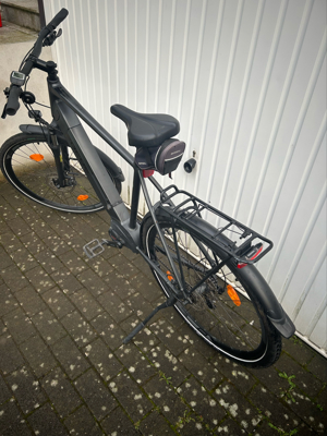 E Bike Focus Planet2 Elektro Fahrrad 2,5 Jahr alt Bild 3