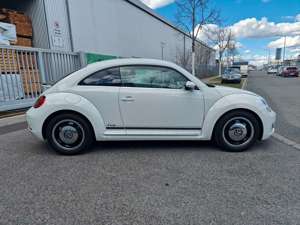 Volkswagen Beetle . Design BMT Klima SHZ PDC 1Hand Neu Tuv Bild 5