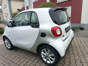 smart forTwo fortwo coupe electric drive / EQ Panorama Bild 5