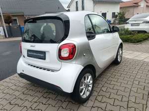 smart forTwo fortwo coupe electric drive / EQ Panorama Bild 4