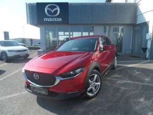 Mazda CX-30 2.0 SKYACTIV-X Selection DES+PREM+AHK Bild 1