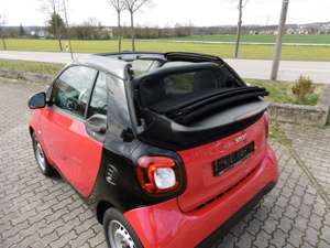 smart forTwo Basis 52 kW ,Cabrio, Sitzheizung, Klimaautomatic, Bild 3