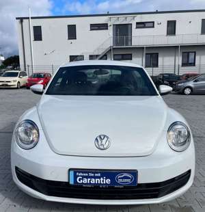 Volkswagen Beetle Bild 2