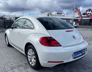 Volkswagen Beetle Bild 8