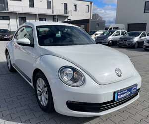 Volkswagen Beetle Bild 5