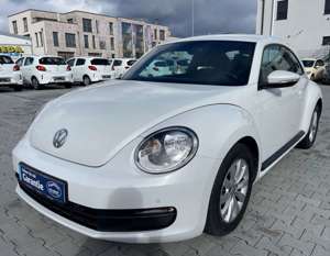 Volkswagen Beetle Bild 4