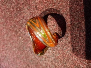 Ring aus Murano-Glas Bild 3