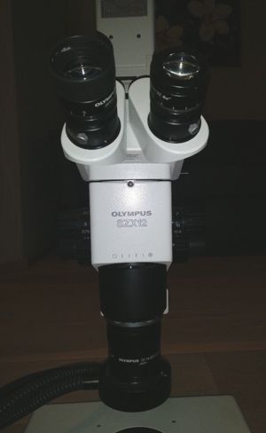 Olympus SZX12 Stereo Mikroskop mit Fototubus Bild 1