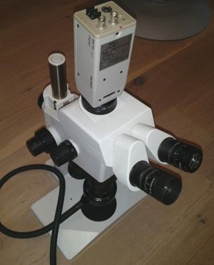 Olympus SZX12 Stereo Mikroskop mit Fototubus Bild 2