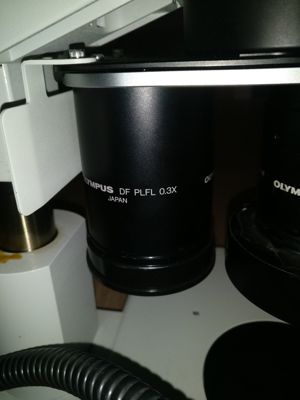 Olympus SZX12 Stereo Mikroskop mit Fototubus Bild 3