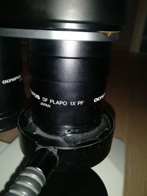 Olympus SZX12 Stereo Mikroskop mit Fototubus Bild 4