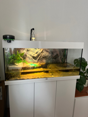 Aquarium mit kompletter Ausstattung (geeignet für Wasserschildkröten)