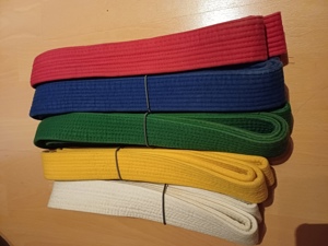 Taekwondo Gürtel Bild 2