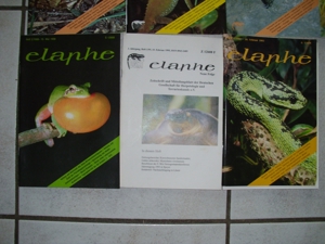 Reptilienzeitschrift ELAPHE (gut erhalten) Bild 2