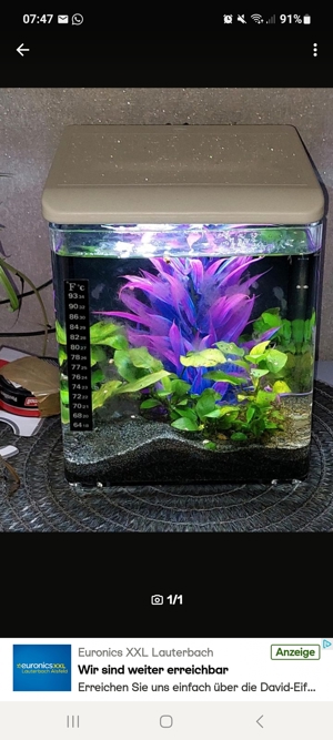 Nano Aquarium 