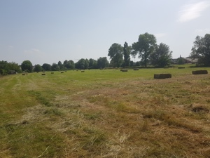 Heu in Rund- oder Quaderballen 