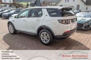 Land Rover Discovery Sport P300e S Panorama / ACC /Meridian Bild 4