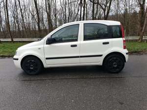 Fiat Panda 169 AXF1A 08