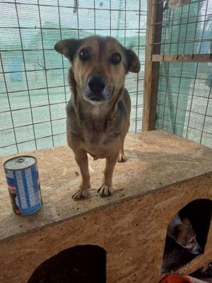 7 jährige, Kleine Luna sucht dich Bild 7