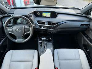 Lexus UX 250h Leder Beige Kamera Abstand Keyless-GO Bild 2